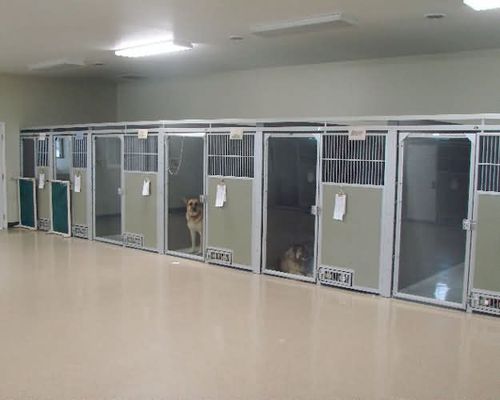 Tierkäfig für Hunde - Snyder Manufacturing Company - modular
