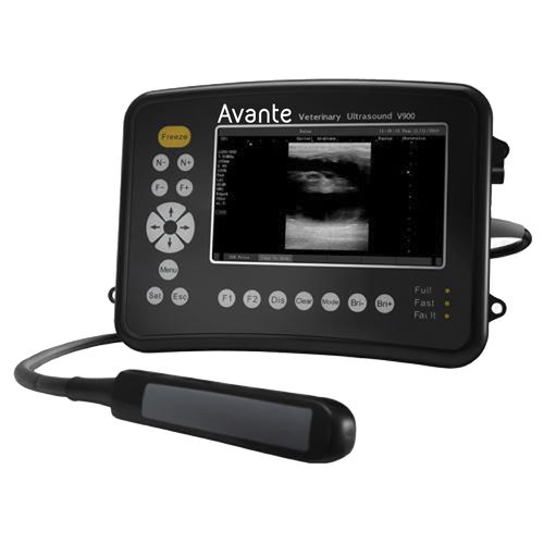 Tragbares Tierärztliches Ultraschallsystem - V900 - DRE Veterinary - Multifunktion / für Pferde / Schwarz-Weiß
