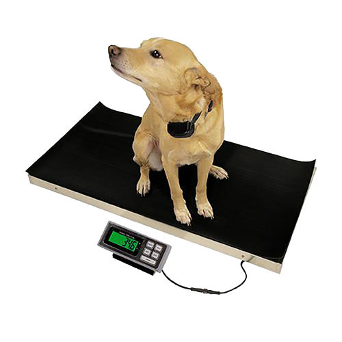 Mechanische Veterinärwaage - 700  - DRE Veterinary - Plattform / mit separatem Anzeiger / USB