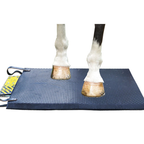 Magnettherapieeinheit für Pferde - Bio-Pulse Iron Foot - Respond Systems - Matratze