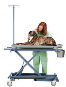 Untersuchungsliege für Veterinärmedizin - Versa-Lift - Olympic Veterinary - elektrisch / höhenverstellbar / auf Rollen