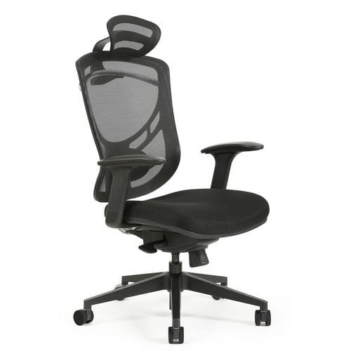 Bürostuhl mit Armlehnen - Remo - Borgo - auf Rollen / pneumatisch / höhenverstellbarer