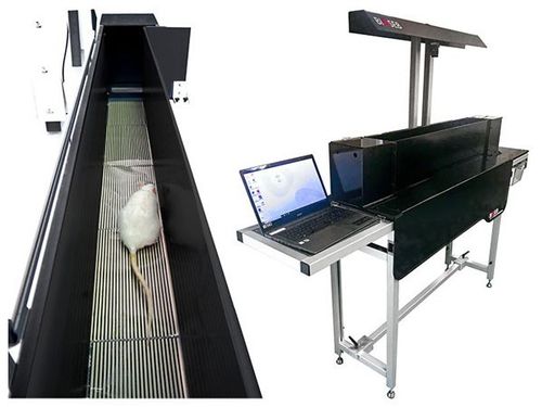 Kinetischer Gewichtsverteilungstest - BIO-KWB-DUAL - Bioseb - für Tierforschung / für Ratten / für Nagetiere