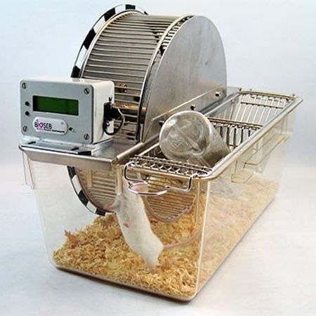 Laufrad für präklinische Forschung - BIO-ACTIVW-M - Bioseb - für spontanes Training / für Mäuse / für Ratten