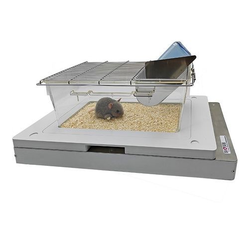 Aktigraph zur Analyse des circadianen Rhythmus - BIO-ACTIV2-M - Bioseb - für die Tierforschung / für präklinische Forschung / für Mäuse