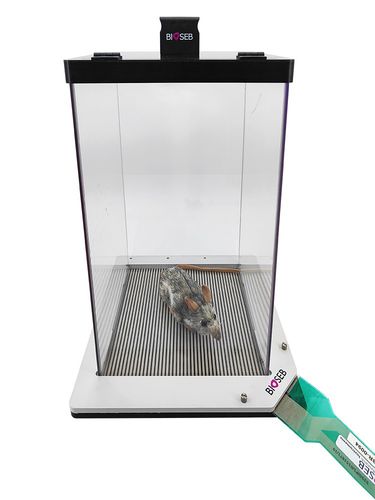 Dynamischer Gewichtsverteilungstest - BIO-DWB-DUAL - Bioseb - für Tierforschung / für präklinische Forschung / für Ratten