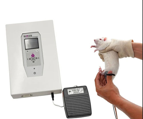 Analgesiemeter für Kleintiere - BIO-SMALGO-WRS - Bioseb - statische Gewichtsverteilung / für die Tierforschung / für präklinische Forschung