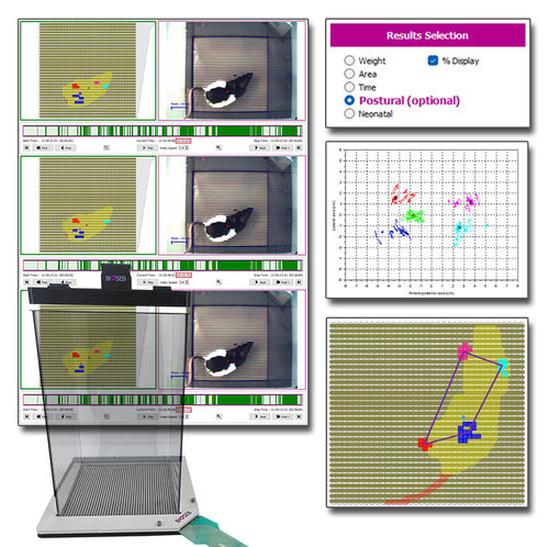 Medizinische Software - BIO-DWB2-POSTUR - Bioseb - Labor / Analyse / Innenohr
