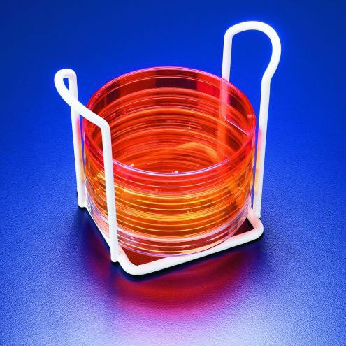 Labor-Halter / Petrischalen - SWP062 - SciLabware Limited