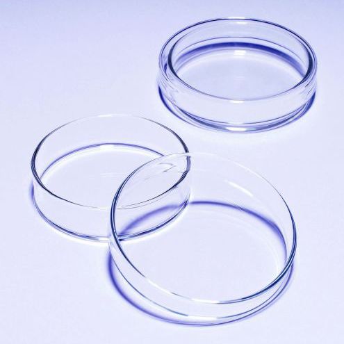 Borosilikatglas-Petrischale - 1480 series - SciLabware Limited
