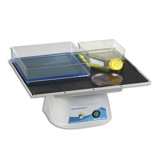 Kipp-Laborrührer - BenchRocker™ - BENCHMARK SCIENTIFIC - analog / Tisch / für Fläschchen