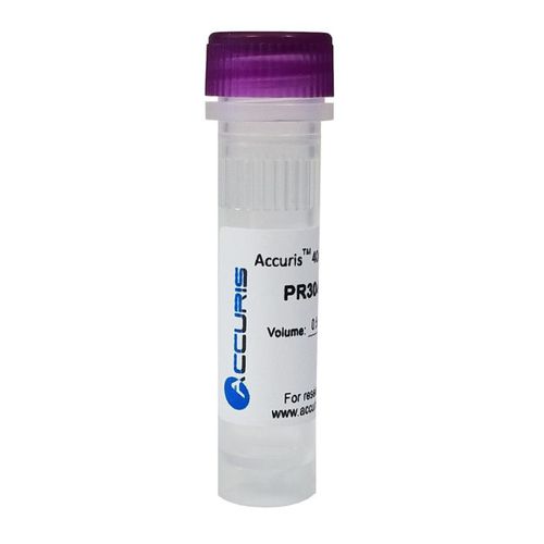 DNTP-Lösung-Reagenz - PR3 series - BENCHMARK SCIENTIFIC - Protease / für PCR