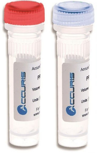 Taq-Polymerase-Reagenz - Taq Plus - BENCHMARK SCIENTIFIC - für PCR / mit Warmstart