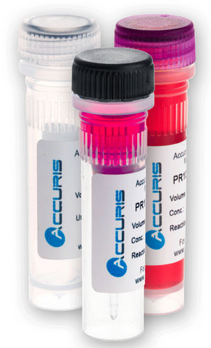 Reagenzkit / als Lösung - PR2001 series - BENCHMARK SCIENTIFIC - für qPCR / mit Warmstart