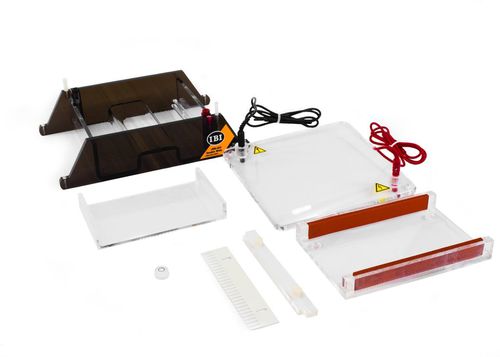 Elektrophoresesystem für PCR - DOUBLE WIDE MINI GEL-O - IBI Scientific - Tisch / kompakt