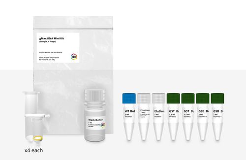 K-Proteinase-Reagenzkit - GMAX MINI - IBI Scientific - für Blutproben / für die Histologie / für PCR