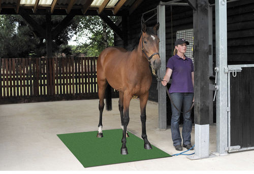 Elektronische Veterinärwaage - Kentucky - Horse Weigh - für Pferde / Plattform / Kabelfernanzeige
