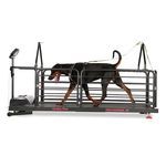 Veterin&auml;r-Laufband / f&uuml;r Hunde