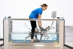 Veterin&auml;r-Laufband / f&uuml;r Hydrotherapie