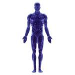 KI-Plattform / f&uuml;r Kardiologie