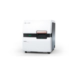 CE-Elektrophoresesystem