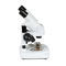 optisches Stereomikroskop44137Celestron