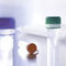 Reagenz f&uuml;r Veterin&auml;rlaborvirotype Influenza A Positive ControlINDICAL BIOSCIENCE GmbH