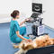 plattformmontiertes Tierärztliches UltraschallsystemVetus 50Shenzhen Mindray Animal Medical Technology Co., Ltd.