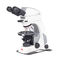 PolarisationsmikroskopPanthera TEC POL Motic Europe