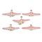Anatomisches Modell / Uterus10254993B Scientific  