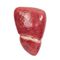 Anatomisches Modell / Leber10259713B Scientific  