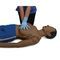 Haut anatomisches ModellXP75D-0183B Scientific  
