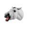 Anatomisches Modell / Mund10265113B Scientific  