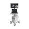 plattformmontiertes Ultraschallger&auml;tMyLab&trade;E85 GTSEsaote