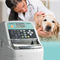 automatischer Immunoassay-AnalysatorAU10VFUJIFILM Healthcare