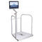 Stabilometrische PlattformSMARTBALANCE 2031HUR 