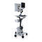Endoskopisches Abbildungssystem / EUSAVVIGO&trade;+Boston Scientific