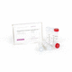 RNase-Inhibitor-Reagenzkit / für RT-qPCR / für cDNA-Synthese / Protein