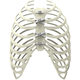 Cerclagekabel für Sternum-Verschluss / Multifilament-Polymer
