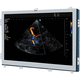 Monitor für Ultraschalluntersuchungen / 1280 x 1024 / 19