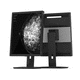 Monitor für medizinische Bildgebung / Diagnose / 1280 x 1024 / 19