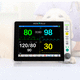 Multiparameter-Monitor / für Veterinärmedizin / kompakt / EKG / RESP