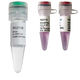 Enzyme-Reagenzkit / Farbstoff / für RT-qPCR