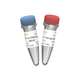 Reagenz / Ligase ADN / Enzyme / Nukleinsäure / für Forschungszwecke