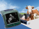 tragbares Tierärztliches Ultraschallsystem / Multifunktion / für Schweine / für Rinder