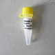 Pufferlösung / Enzyme / zur Mutationsdetektion / Protein