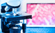 Datenmanagementsystem / Visualisierung / Diagnose / Reporting