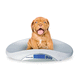 elektronische Waage / für Kleintiere / für Veterinärmedizin / tragbar
