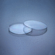 Petrischale für Bakteriologie / Polystyrol / 150 mm / 15 mm