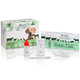 Schnelltest für Veterinärmedizin / für Hunde / Brucella / Serum